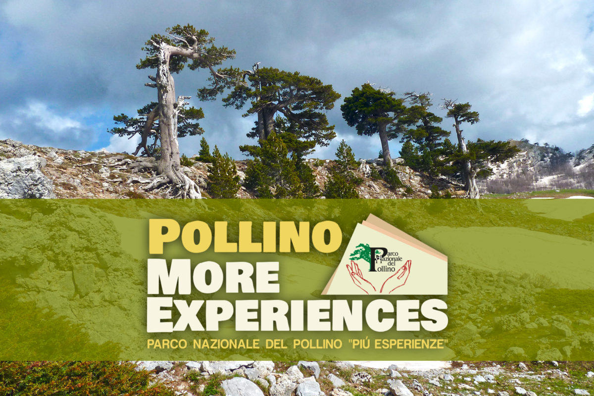 Pollino More Experiences<br>Documentario