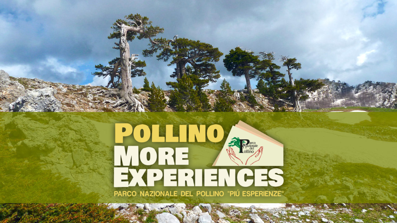 Pollino More Experiences<br>Documentario