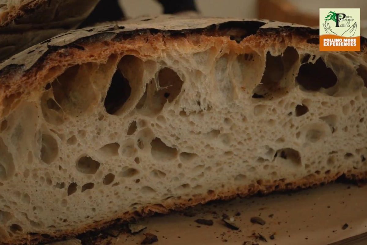 Il pane di Cerchiara