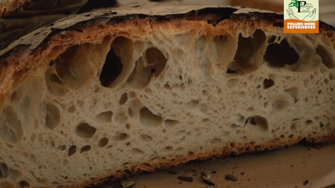 Il pane di Cerchiara