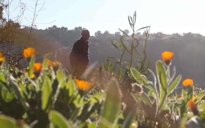 Radici, un documentario di Antonio Martino
